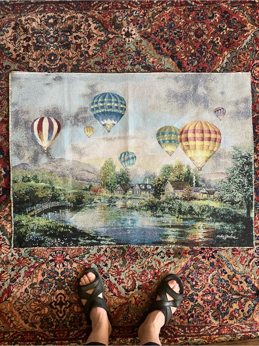 Balloon Tapestry - Picture 8 of 8